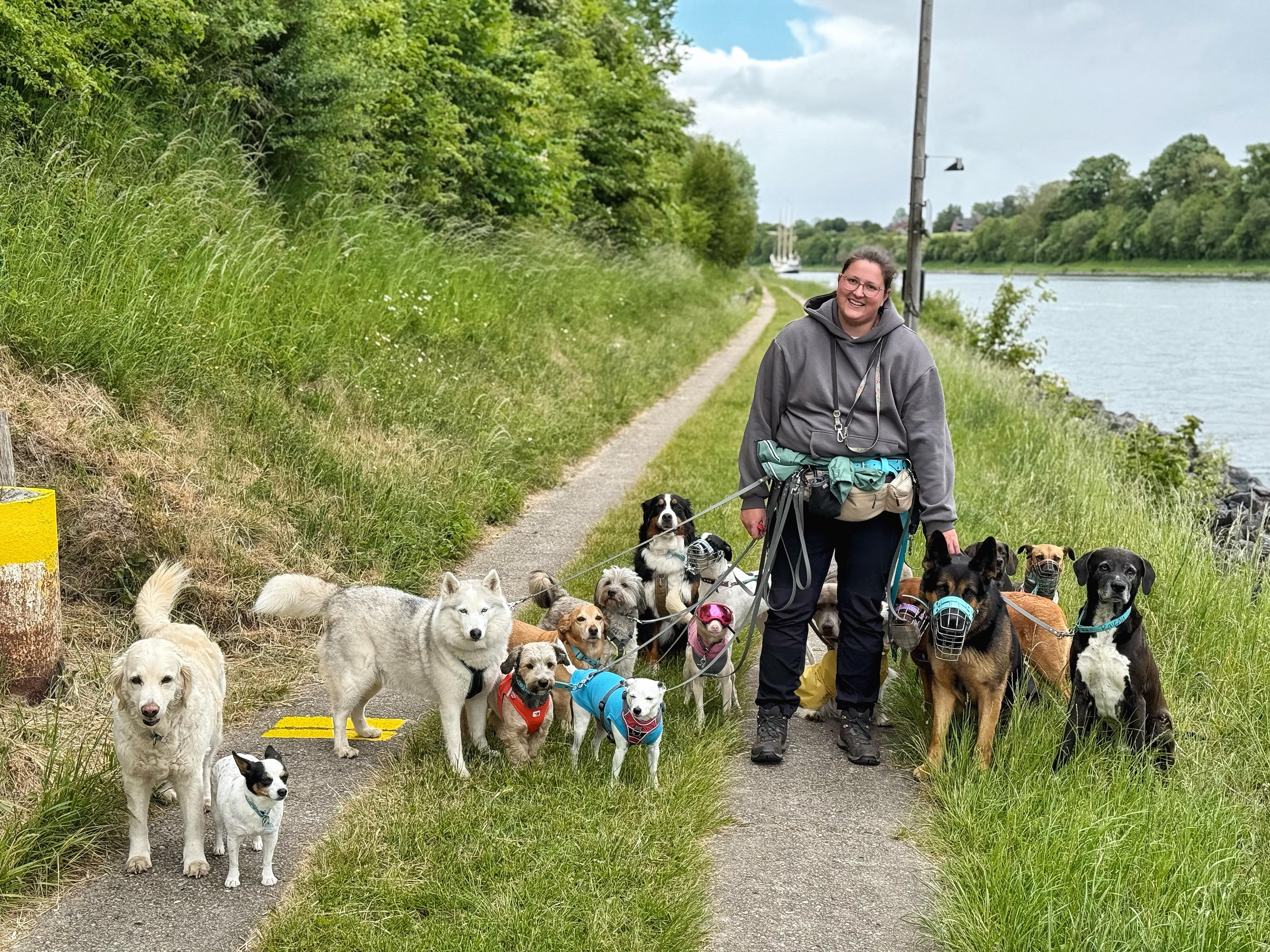 Förde-Hunde Kiel - professionelle Dogwalkerin mit Hundegruppe beim Spaziergang am Nord-Ostsee-Kanal.