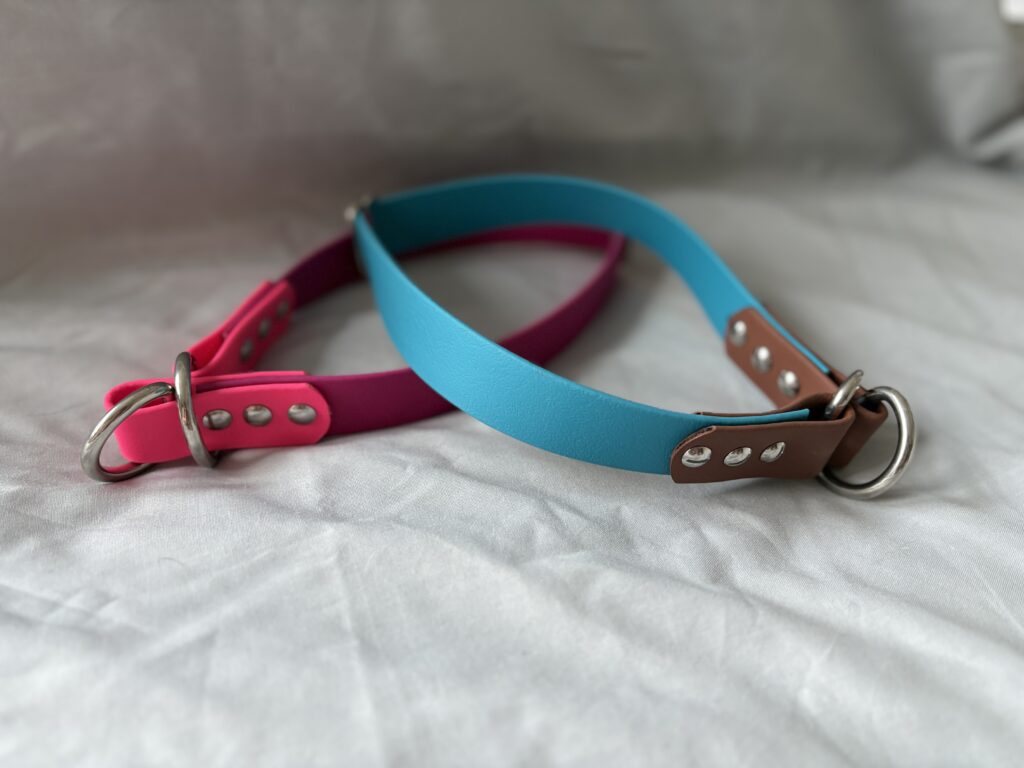 Biothane Halsband in Türkis mit rostfreien Beschlägen - Handgefertigt von FördeHunde Kiel